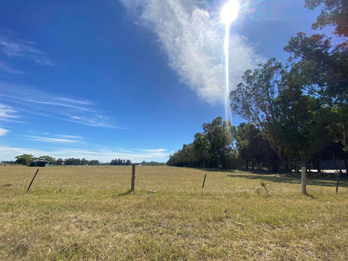 Imagen 4 de 14 de Latorre Prop. Vende Una Hectarea En La Zona De Parque Camet
