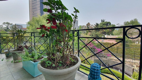 Imagen 2 de 30 de 4 Rec. !tesoro En Lomas! Terraza 60m Ensueño + Balcon Excele