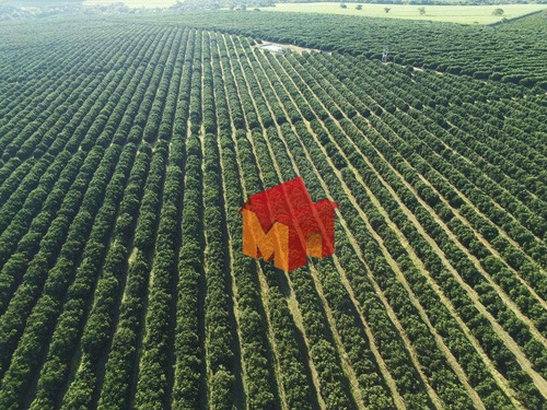 Imagem 19 de 30 de Fazenda À Venda, 5583424 M² Por R$ - Zona Rural - Franca/sp - Fa0004