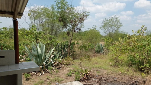 Imagen 4 de 9 de Terreno Por El Nogal En Cadereyta Y Cerca De Allende, Nuevo León