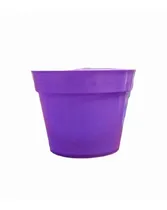 Comprar Maceta Cactus Suculentas Colores Nº 10 X 5 Unid. Jardineria 
