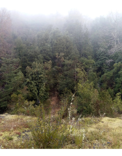 Licanray 7745 M2, Luz, Vertientes, 4 Minutos Lago Calafquen
