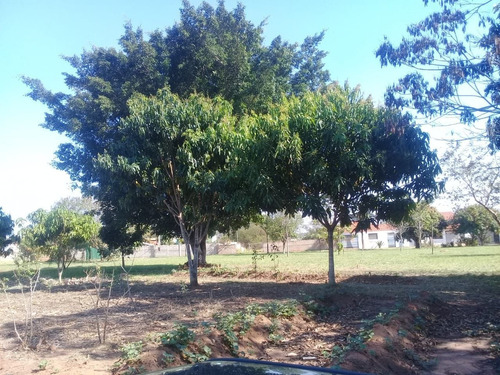 Imagem 2 de 30 de Chácara Com 3 Quartos À Venda, 1000 M² Por R$ 298.000 - Parque Das Palmeiras - Artur Nogueira/são Paulo - Ch0141