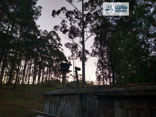 Chácara A Venda No Bairro Centro Em Morro Redondo - Rs. - 1360-1