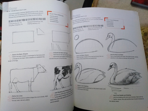 Drawing For The Absolute Beginner. A Clear & Easy Guide (Usado)