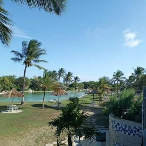 Imagen 17 de 20 de Twonhouse En Alquiler Caribbean
