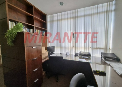 Imagem 15 de 16 de Comercial Em Bela Vista - São Paulo, Sp - 368717