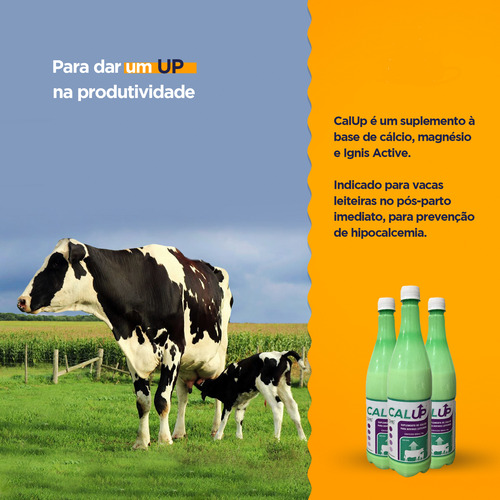 Kit C/08 Cal Up Cálcio Oral P/ Bovinos - Ignis/ibasa 850ml