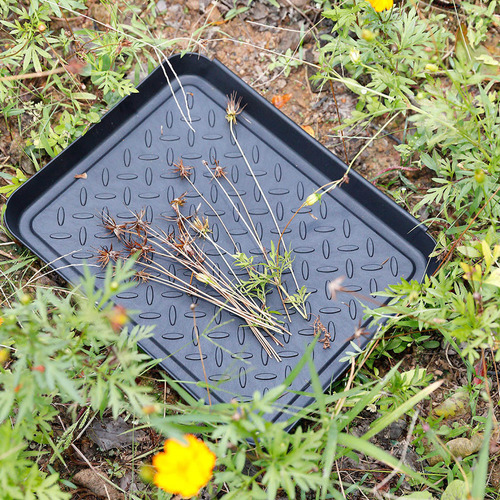 Y Alfombrilla Multiusos For Jardín Y Exterior, Bandeja Y