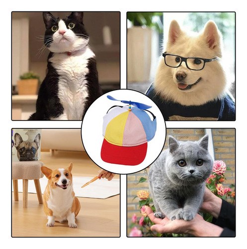Sombrero De Hélice Para Perro Sombrero De Hélice De Gato Con