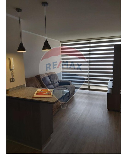 Dpto. En Arriendo 1d/1b/e.