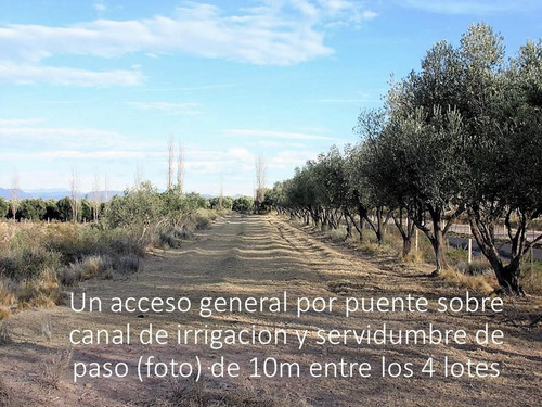 Imagen 8 de 13 de Lotes De 5 Ha En Venta - San Rafael- Mendoza