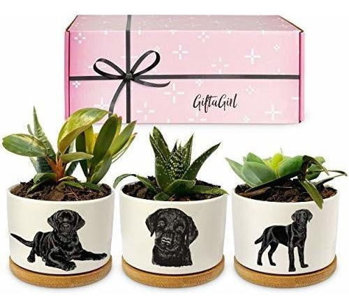 Giftagirl Regalos De Laboratorio Negro Para Mujeres: Nuestra