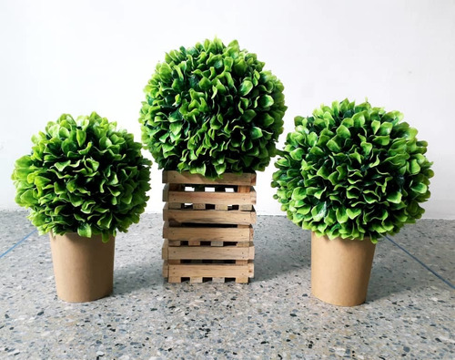 Imagen 4 de 5 de Topiarios Decorativos - Follajes Artificiales