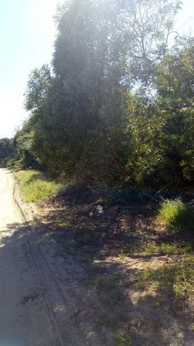 Imagen 4 de 9 de Terreno En Venta En Las Gaviotas