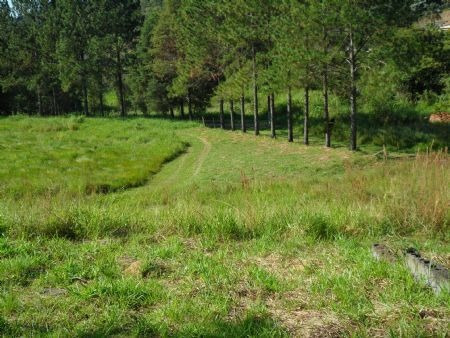 Imagem 14 de 15 de Venda Residential / Land Lot Serra Da Cantareira Mairipor - 3948