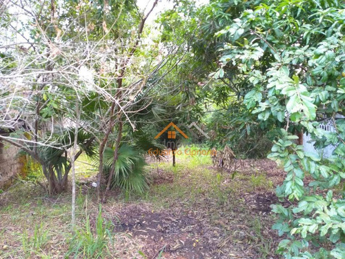 Imagem 3 de 5 de Terreno À Venda, 500 M² Por R$ 350.000,00 - Porto Novo - Caraguatatuba/sp - Te0123