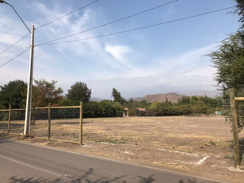 Imagen 5 de 15 de Excelentes Terrenos En Arriendo, Con Muy Buenos Accesos Y Co