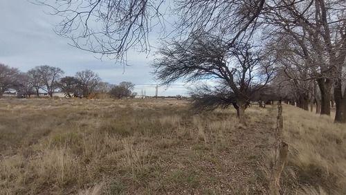 Terreno En Av. San Martín Y Alvear - Ataliva Roca