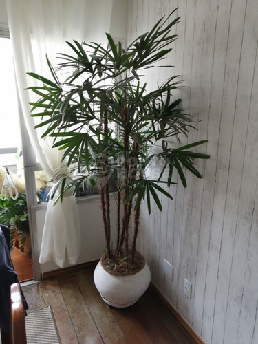 Imagem 14 de 15 de Apartamento 3 Dormitórios, Sendo 2 Suíte E 1 Vaga A Venda Na Mooca. - Ph38784