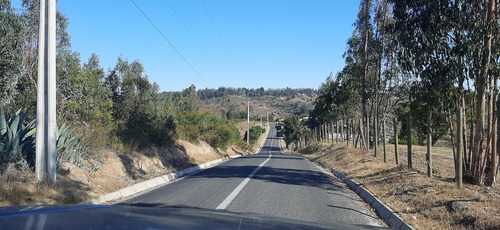 Hasta 9 Terrenos De 1ha A 42ha Total Aprox: 130ha La Rudilla