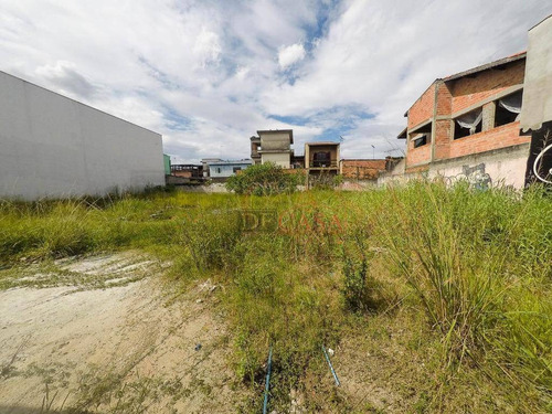 Imagem 3 de 5 de Terreno Em Área Comercial Em Calmon Viana, Poá/sp. 662 M2 - Te0079