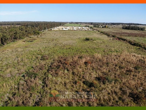 Chacra 10 Has En Venta - Monoambiente En Sauce