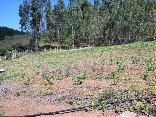 Imagem 24 de 30 de Linda Chácara Com 02 Dormitórios, Piscina, Espaço Gourmet, Vista Deslumbrante, Pertinho Da Cidade, À Venda, 4000 M² Por R$ 350.000 Em Pinhalzinho/sp - Ch0154