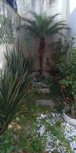Imagem 18 de 24 de Sobrado Com 3 Dormitórios À Venda Por R$ 800.000 - Chácara Santo Antônio (zona Sul) - São Paulo/sp - So3964