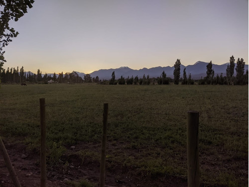 Lote Terreno En Barreal San Juan A 1000mts De La Plaza, El Leoncito, Escriturado, Titular, Impuestos Al Dia.