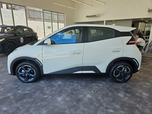 Dolphin Mini Ev