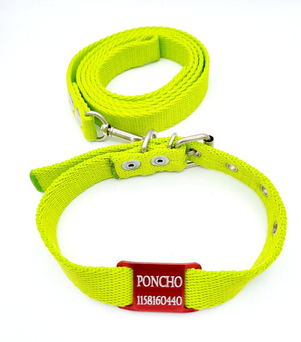 Chapita Perros Pasante Rojo + Collar Y Correa Verde Manzana