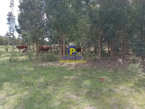 73 Hectáreas En Canelones