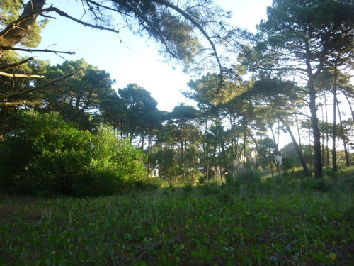 Imagen 5 de 14 de Venta Lote Barrio Álamos Pinamar Zona Norte