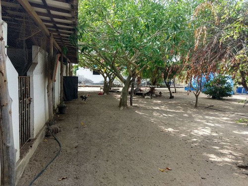 Imagem 18 de 18 de Granja A Venda Pium