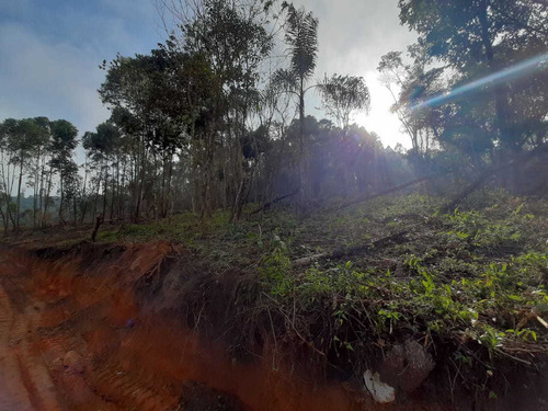 Imagem 10 de 14 de Vendo Terrenos - 1000m² Proximo A Represa Itupararanga