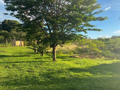 Chacara Tupâ 4000 M² C/ Casa De 96 M² Sala/cozinha/2quartos