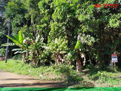 Imagem 4 de 5 de Excelente Terreno Plano Com 1.330,56m² - Velha - Blumenau/sc - Te0167