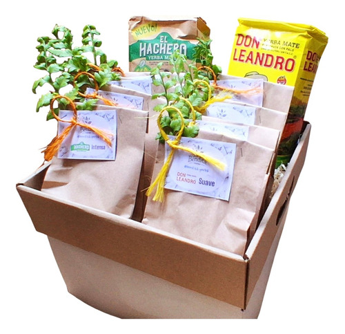 Souvenir Yerba Mate 100gr C/u X12 Paquetes Ecopack Decorados