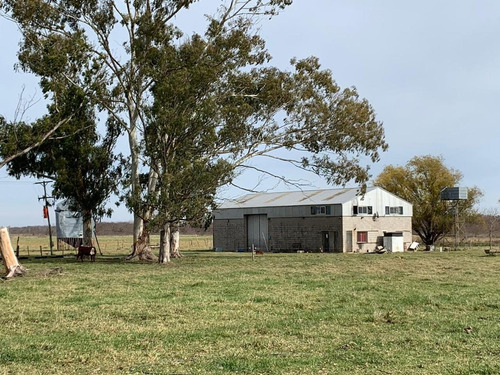 Imagen 8 de 17 de Venta- Campo De 82 Hectáreas En Goldney