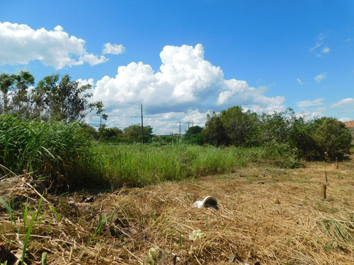 Imagem 6 de 6 de Lote Na Av. Padre Anchieta C/ 368.50m² Residencial E Coml.