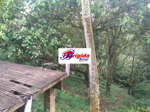 Imagem 12 de 15 de Excelente Terreno Para Venda! - Te40