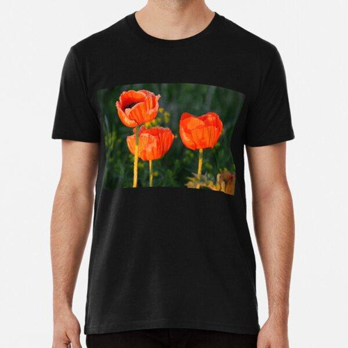 Remera Sunset Poppies Algodon Premium