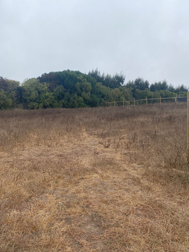 Sitio En Loteo De 16 Sitios Cercana A La Copec