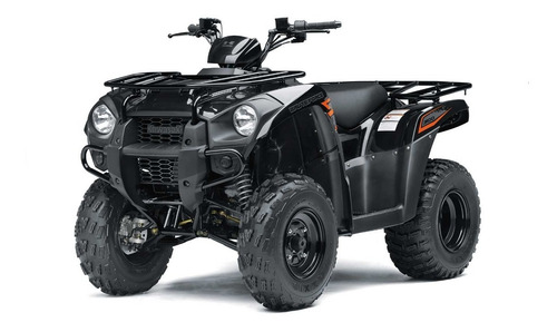 Kawasaki Brute Force 300 4x2