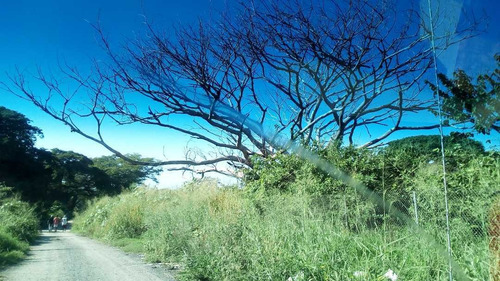 Imagen 2 de 5 de Terreno En Av. Aragua Dr Montoya En Maracay