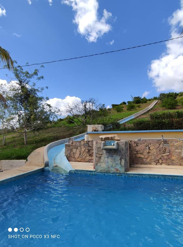 Imagen 13 de 28 de Venta De Hermosa Finca En El Estado Lara