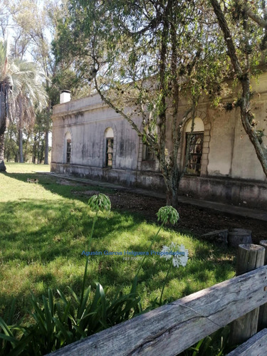 Campo Ganadero Proximo Castillos