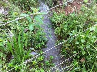 Imagem 3 de 16 de Terreno / Área Para Comprar No Marques Em Brumadinho/mg - 293
