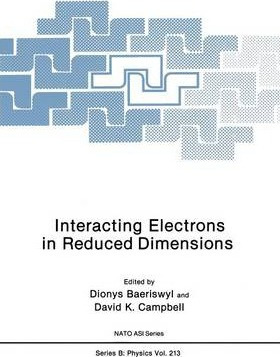 Libro Interacting Electrons In Reduced Dimensions - Diony...